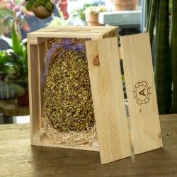 Easter Egg in a Wooden Box with Dark Chocolate and Pistachio Grains_4