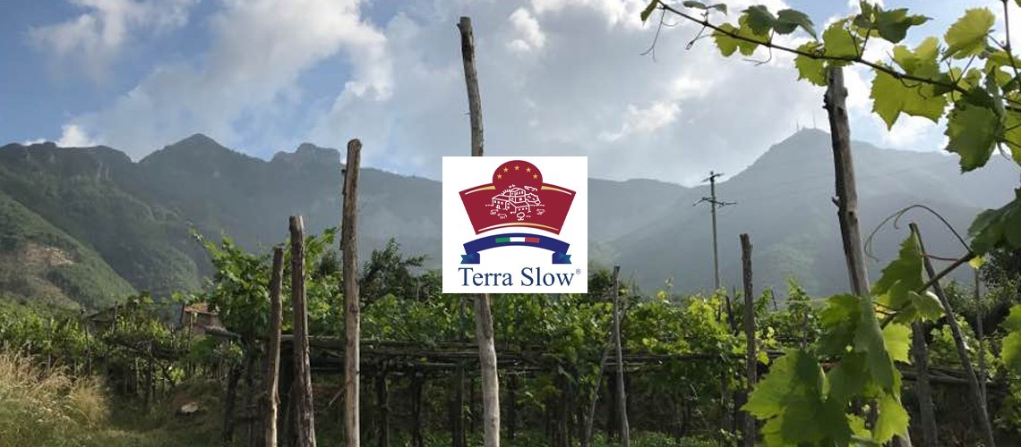 Terra Slow srl Agricola