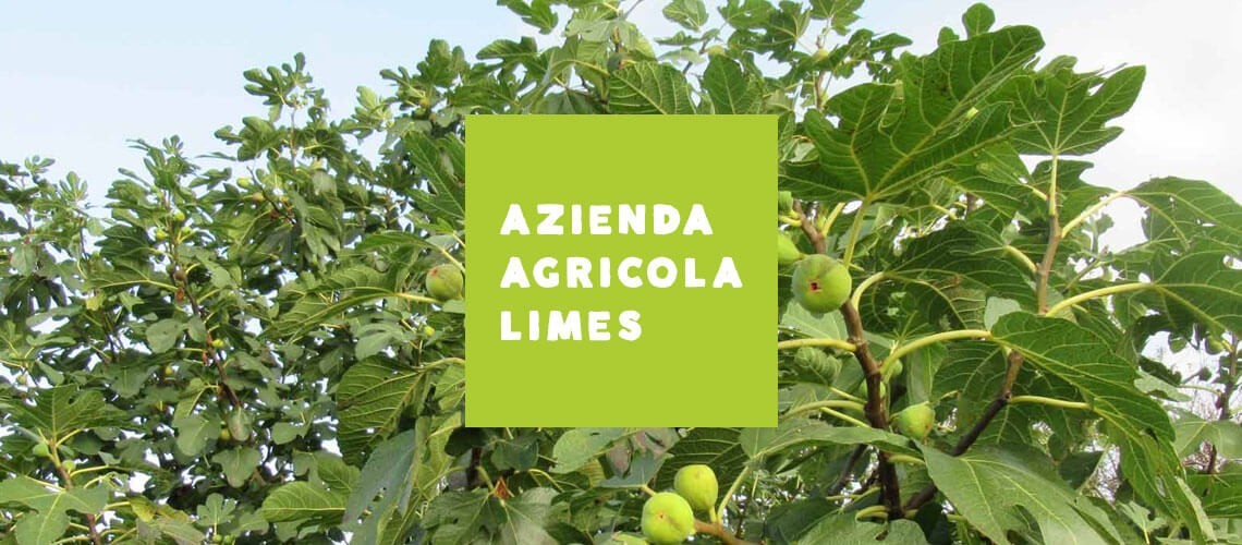 Azienda agricola LIMES