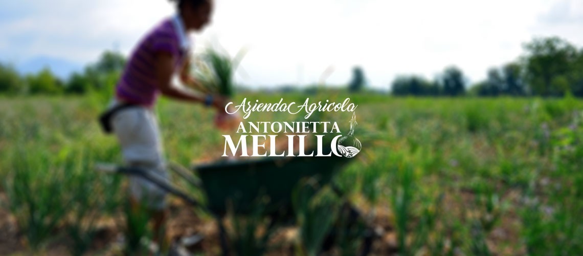 Azienda Agricola Antonietta Melillo