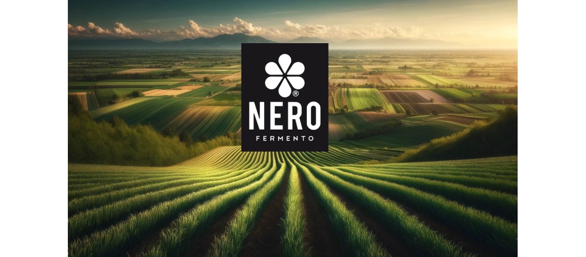 Nero di Voghiera