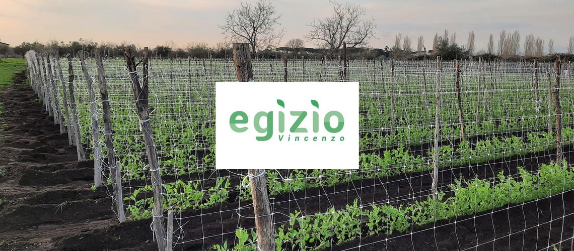 Azienda Agricola Vincenzo Egizio